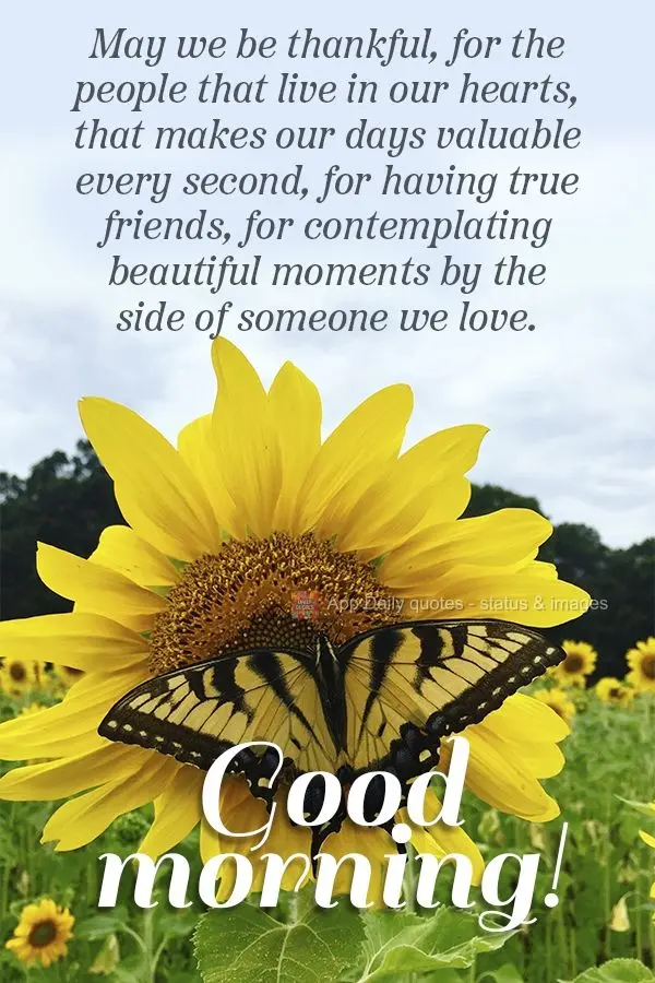 Sejamos gratos pelas pessoas que habitam em nossos corações, que fazem  nossos dias valerem cada segundo, por termos amigos verdadeiros, por sermos con...