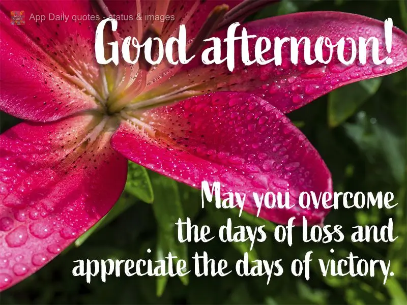 May you become more than your days of loss and appreciate the days of victory. Good afternoon!