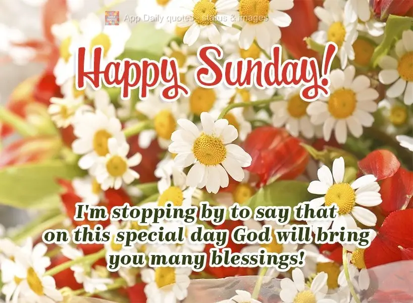 Passei aqui pra dizer que neste dia especial Deus lhe trará muitas bênçãos! Feliz Domingo!