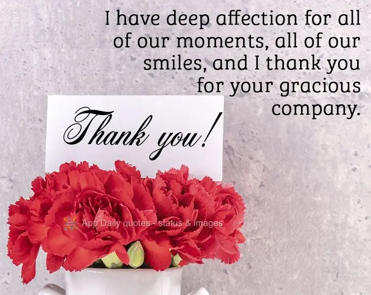 Tenho um profundo carinho por todos os nossos momentos, todas as nossas risadas, e agradeço por sua graciosa companhia. Obrigado!