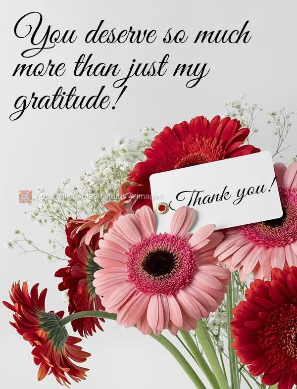 You deserve so much more than just my gratitude! Thank you!