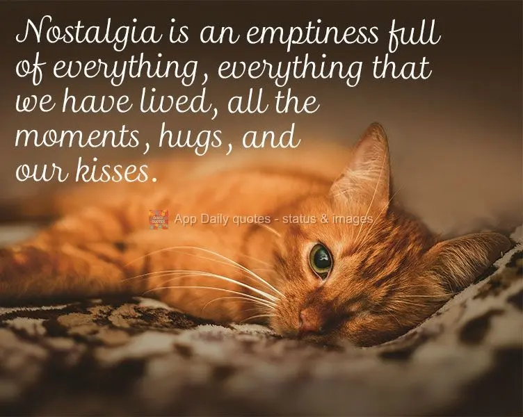 A saudade é um vazio cheio de tudo... Tudo o que vivemos, todos os momentos, todos os abraços, todos os nossos beijos.