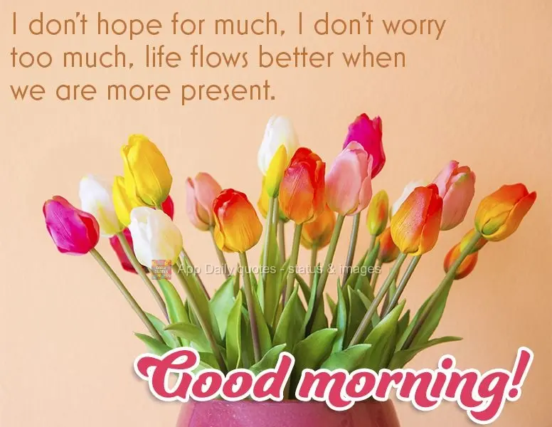 I don't hope for much. I don't worry too much, because life flows better when we are more present, Good morning!