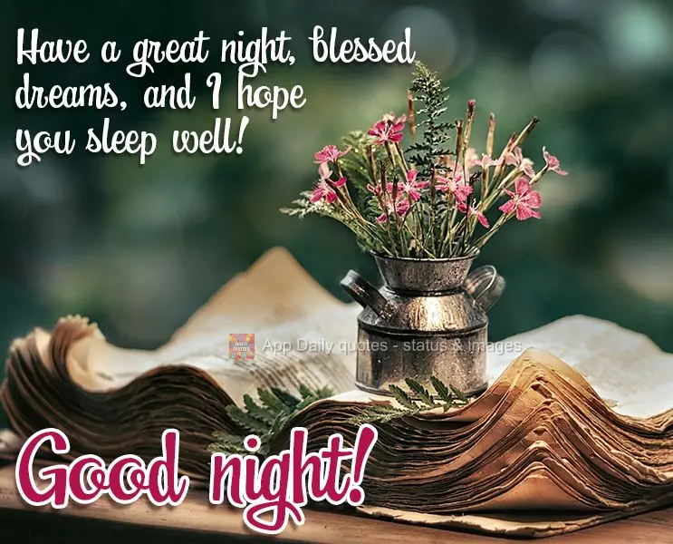 Tenha uma excelente noite com sonhos abençoados. Espero que durma bem! Boa noite!
