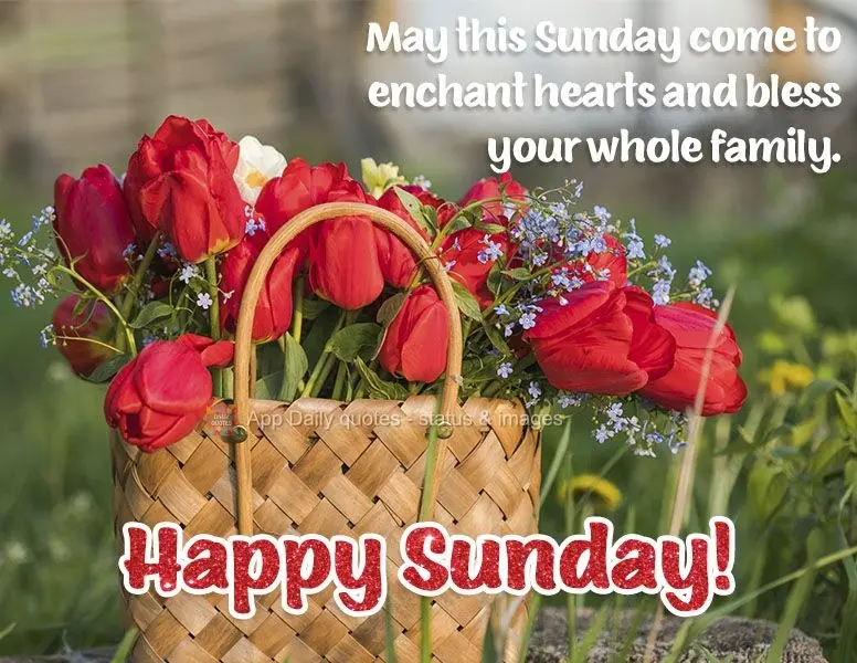 May this Sunday come to enchant your heart and bless your whole family. Happy Sunday!