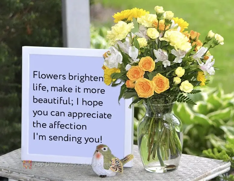 Flowers brighten life and make it more beautiful; I hope you can appreciate the affection I'm sending you!