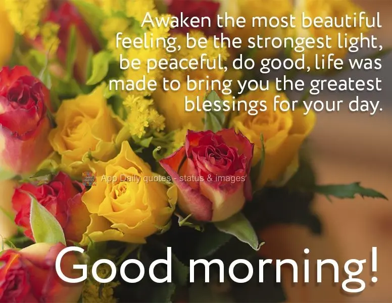 Desperte o sentimento mais bonito, seja a luz mais forte, seja paz, faça o bem. A vida foi feita para trazer as melhores bênçãos para o seu dia. Bom ...