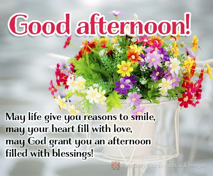 Que a vida lhe dê motivos para sorrir, que seu coração se encha de amor e que Deus lhe proporcione uma tarde cheia de bênçãos! Boa tarde!