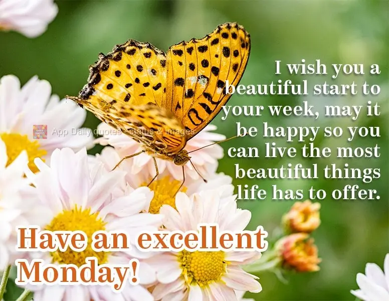 I wish you a beautiful start to your week. May it be happy so you can experience the most beautiful things life has to offer. Have an excellent Monday!...