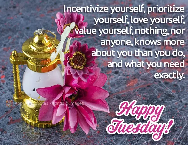 Incentive-se, priorize-se, ame-se, valorize-se. Nada e nem ninguém saberá mais do que você próprio o que exatamente você precisa. Feliz Terça-feira...