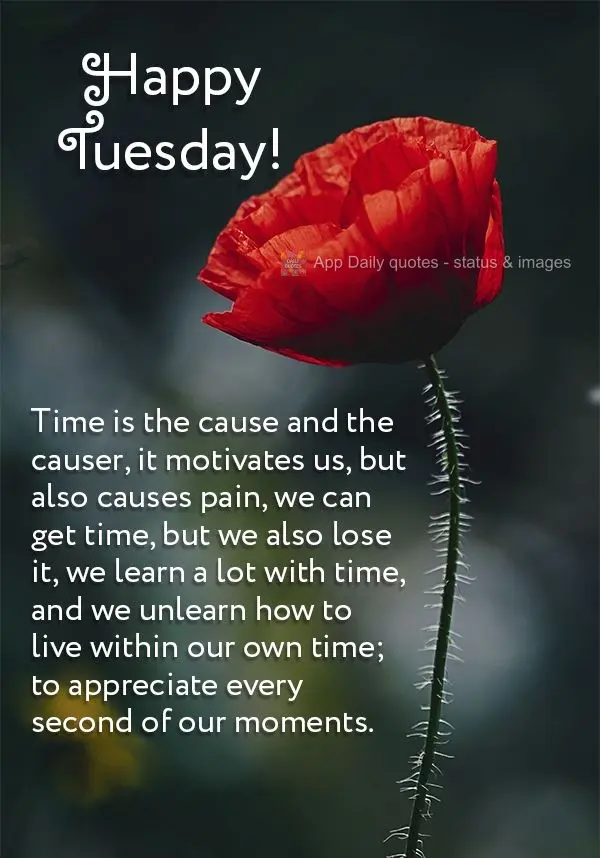 Time is the cause and the causer. It motivates us, but also causes pain. We can gain time, but we can also lose it. We learn a lot over time, and we unle...