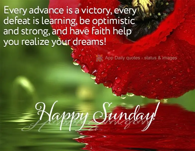 Every advance is a victory. Every defeat is a learning experience. Be optimistic and strong, and let faith help you achieve your dreams! Happy Sunday!