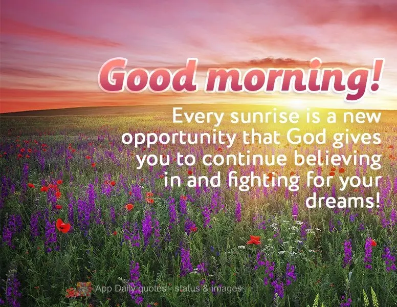 Todo amanhecer é uma nova oportunidade que Deus te dá para que você continue acreditando e lutando pelos seus sonhos! Bom dia!