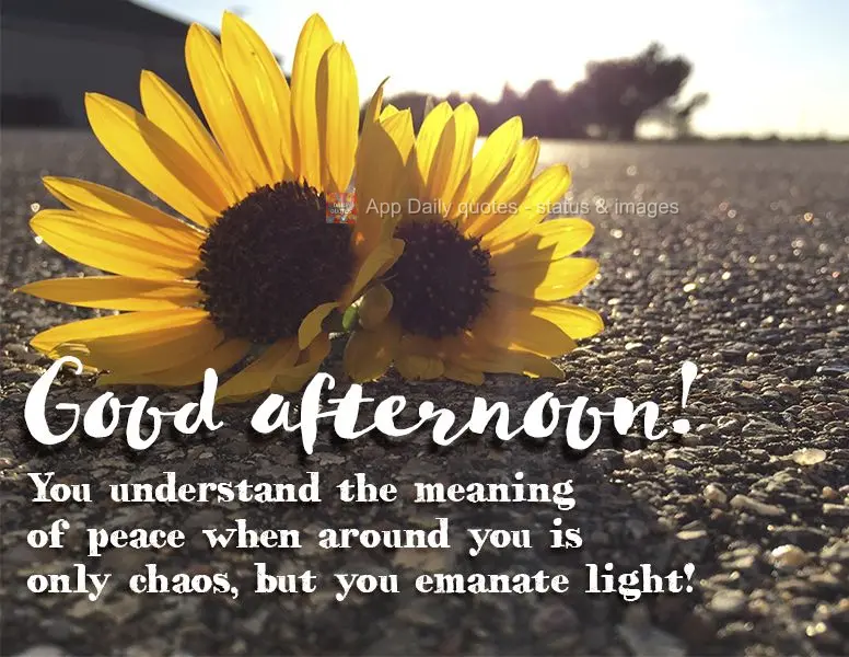 A gente entende o significado de paz, quando em sua volta só há caos, mas você emana luz! Boa tarde!