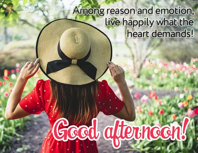 Entre a razão e a emoção, viva alegremente o que manda o coração! Boa tarde!