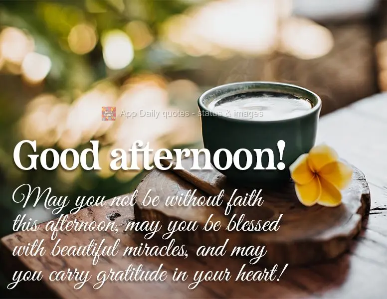 Que não lhe falte fé nesta tarde, que você seja abençoado com lindos milagres e que possa carregar gratidão em seu coração! Boa tarde!