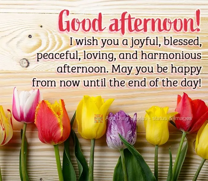 I wish you a joyful, blessed, peaceful, loving, and harmonious afternoon. May you be happy from now until the end of the day! Good afternoon!