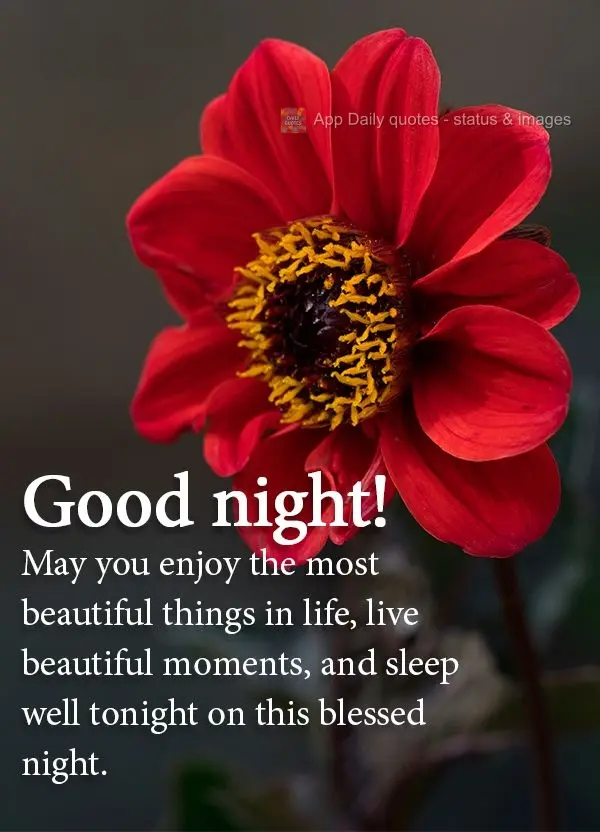 May you enjoy the most beautiful things in life, experience beautiful moments, and sleep well on this blessed night. Good night!