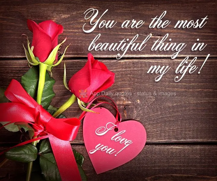 You are the most beautiful thing in my life! I love you!