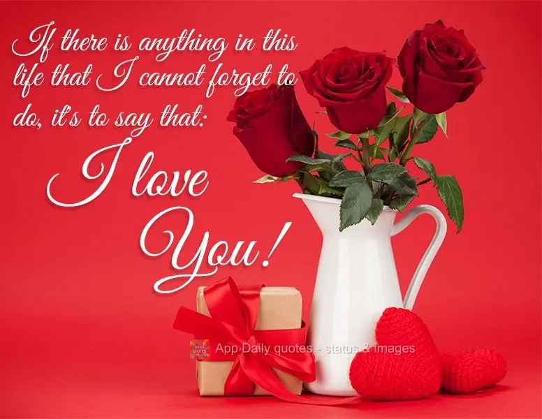 If there is anything in this life that I cannot forget to do, it's to say that: I love you!