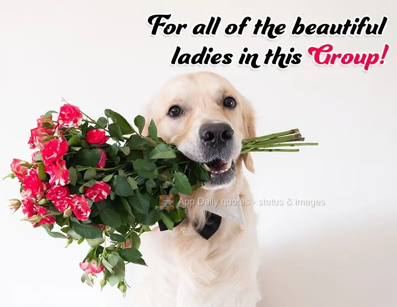 Para todas as mulheres lindas desse Grupo!