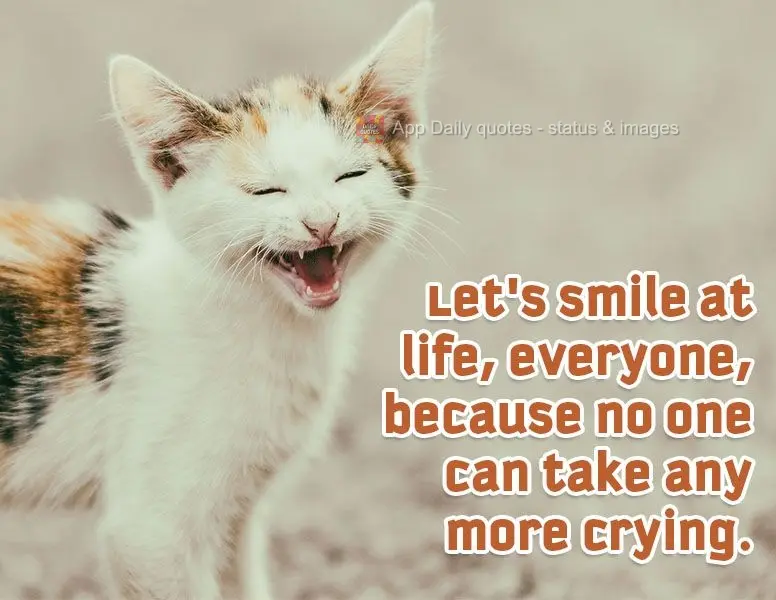 Let's smile at life, group, because no one can take any more crying.