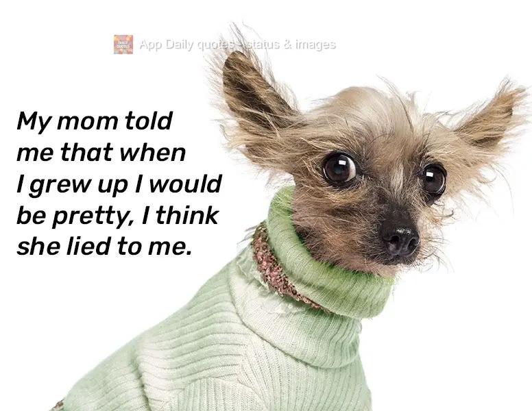 My mom told me that when I grew up I would be pretty. I think she lied to me.