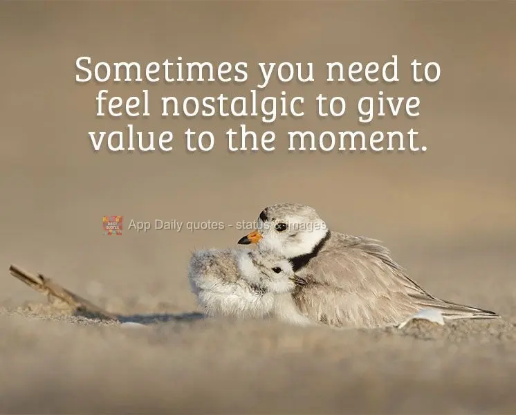 Sometimes you need to feel nostalgic in order to give value to the moment.