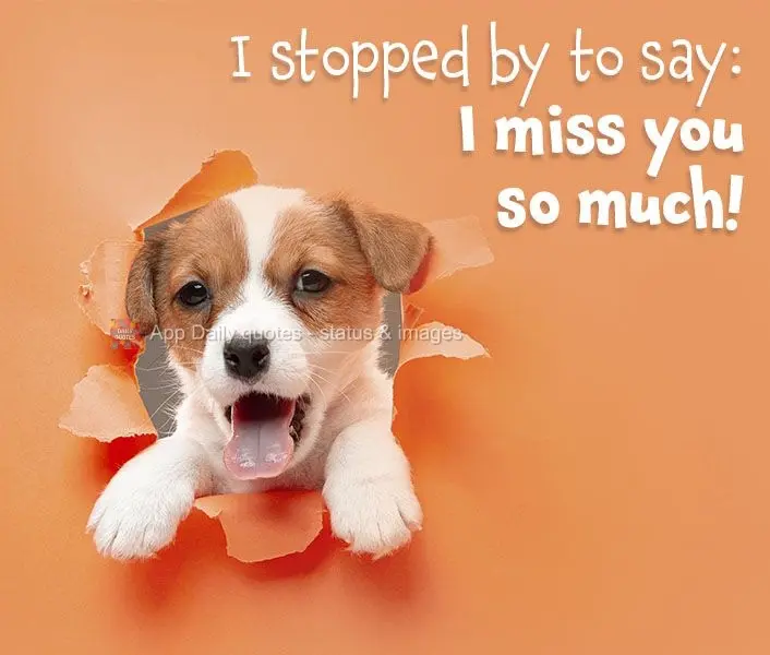 I stopped by to say: I miss you so much!