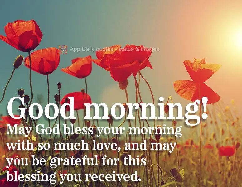 Que Deus abençoe a sua manhã com muito amor e que você seja grato por essa bênção recebida. Bom dia!