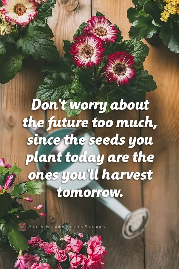 Don't worry about the future too much, since the seeds you plant today are the ones you'll harvest tomorrow.