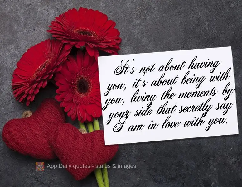 It's not about having you, it's about being with you, experiencing moments by your side that secretly say I am in love with you.