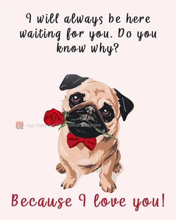 I will always be here waiting for you. Do you know why? Because I love you!