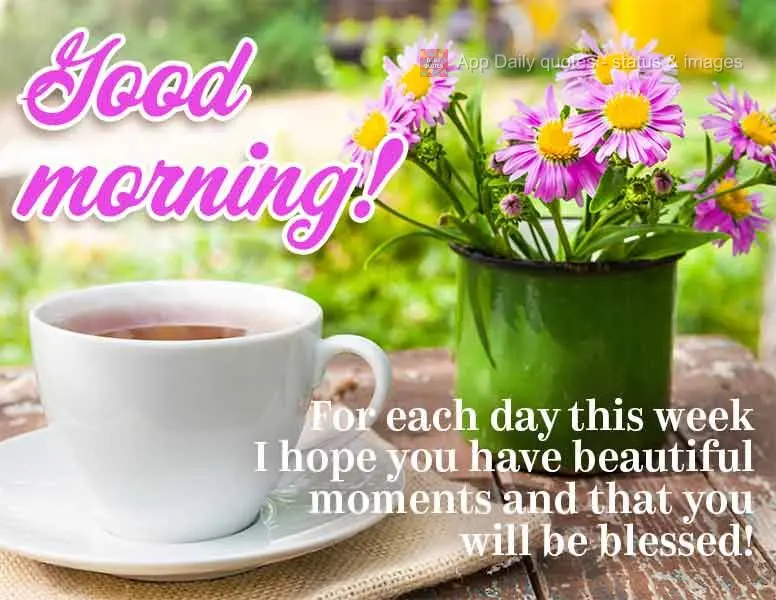 Para cada dia da semana desejo os mais belos momentos para você, e que hoje você seja abençoado! Bom dia!