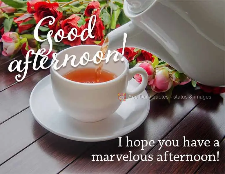 Desejo uma tarde maravilhosa para você! Boa tarde!