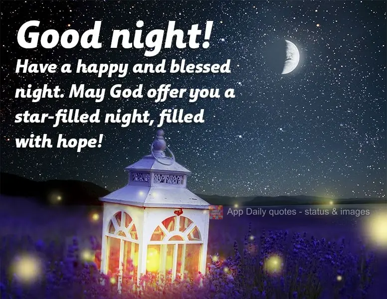 Have a happy and blessed night. May God offer you a star-filled night, filled with hope! Good night!