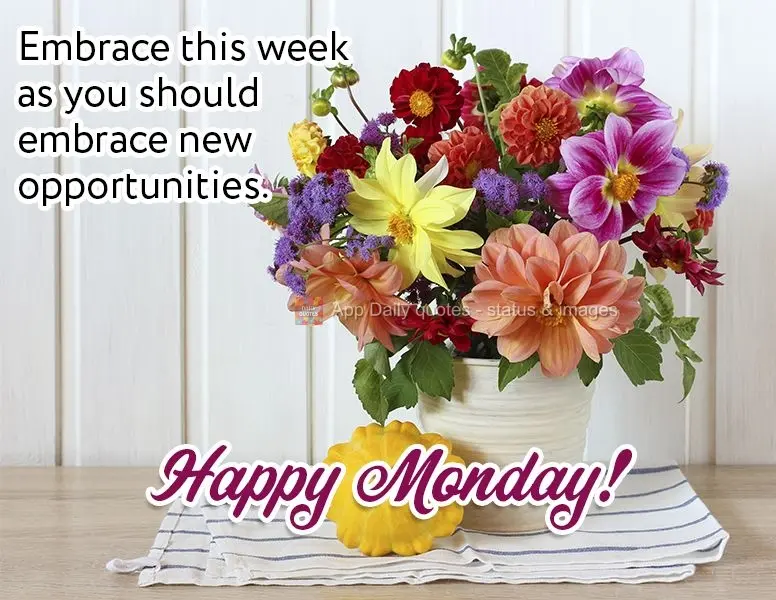 Abrace essa semana como se deve abraçar novas oportunidades.  Feliz Segunda-feira!