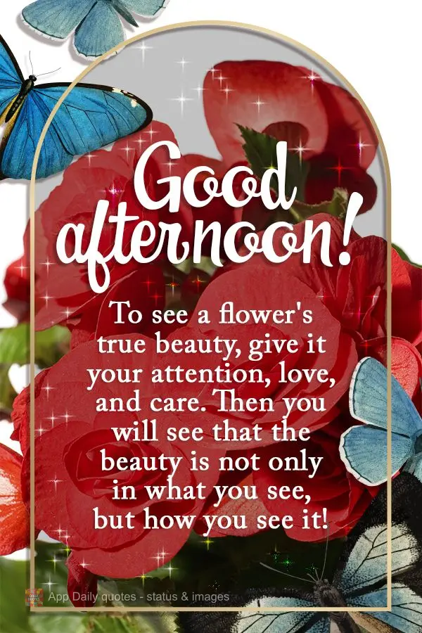 Para ver a verdadeira beleza de uma flor, lhe dê atenção, amor e carinho, então perceberá que a beleza não está só no que você vê, mas sim como...