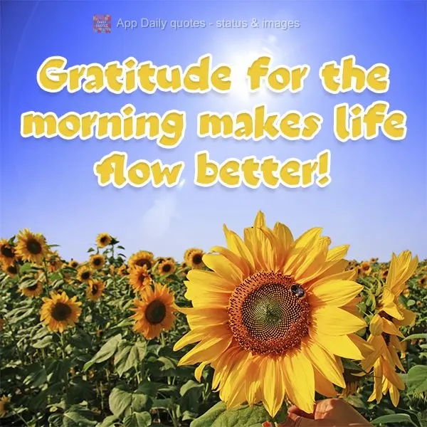 Gratidão pela manhã faz a vida fluir melhor!