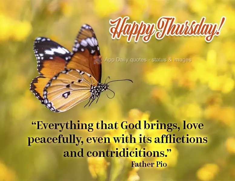 "Everything that God delivers leaves the soul more peaceful even with its afflictions and contradictions."  Happy Thursday! Father Pio