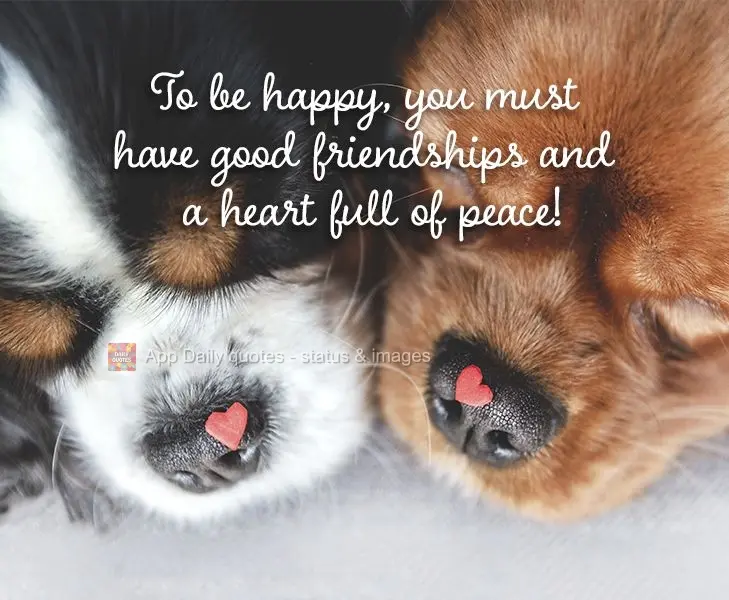 To be happy, you must have good friendships and a heart full of peace!