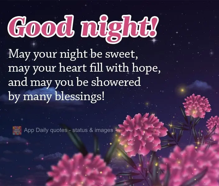 Que seja doce a sua noite, que seu coração se encha de esperança e que você seja contemplado com muitas bênçãos! Boa noite!