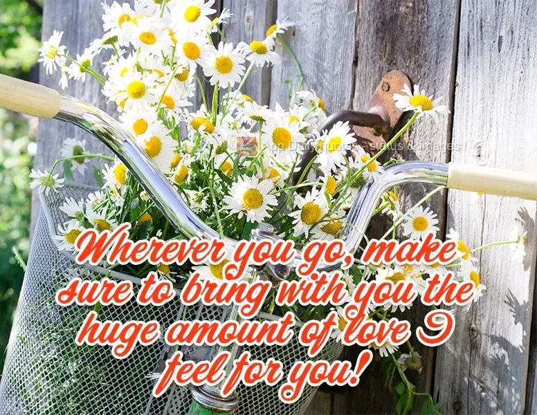 Wherever you go, make sure to bring with you the huge amount of love I feel for you!