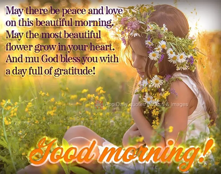 Que haja amor e paz nesta linda manhã, que a flor mais bela floresça em seu coração e que Deus possa te abençoar com um dia cheio de gratidão! Bom ...