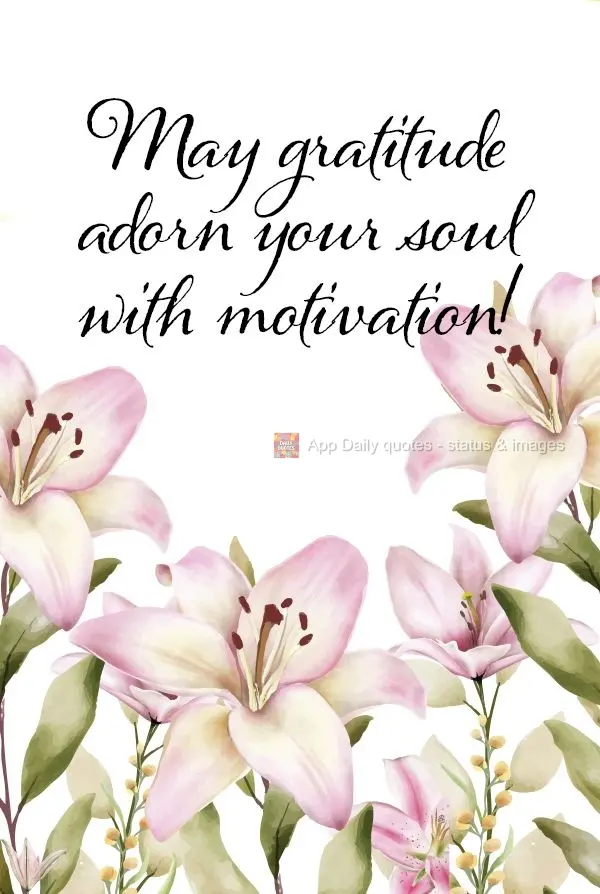 Que a gratidão enfeite a alma de motivação!