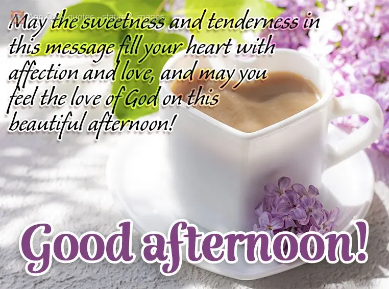 Que a ternura e a doçura dessa mensagem encha seu coração de afeto e carinho, e que você sinta o amor de Deus nesta linda tarde! Boa tarde!