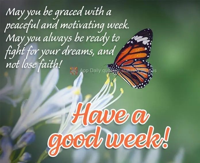 May you be graced with a peaceful and motivating week. May you always be ready to fight for your dreams, and not lose faith! Have a good week!