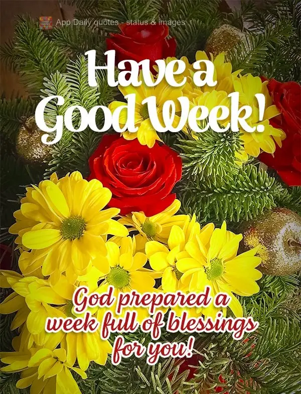 God prepared a week full of blessings for you! Have a good week!