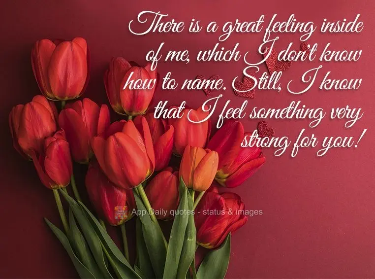 There is a great feeling inside of me, which I don't know how to name. Still, I know that I feel something very strong for you!
