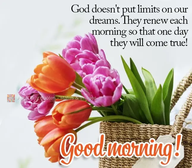 Deus não colocou limites em nossos sonhos, eles se renovam a cada manhã para que um dia possam se tornar realidade! Bom dia!